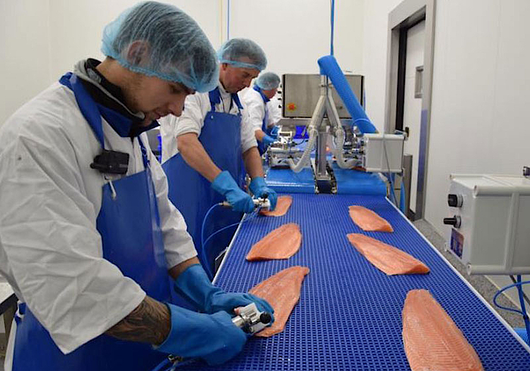Datafox Kontrollsystem für Lebensmittelsicherheit im Fischhandel