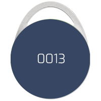 Datafox RFID-Schlüsselanhänger CEVO