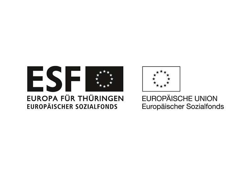 Datafox Förderung Logo ESF EU